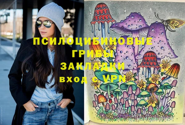 твердый Дмитриев