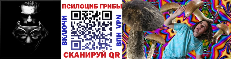 Галлюциногенные грибы MAGIC MUSHROOMS  Купить закладки  Баймак 